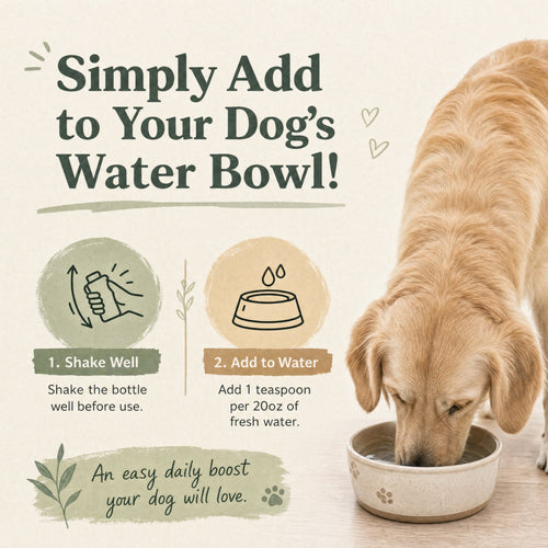 Pupwell Daily Dental Powder