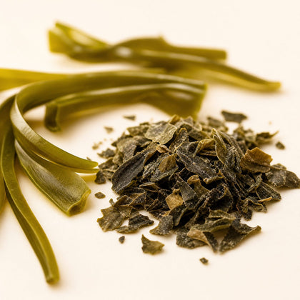 Norwegian seaweed